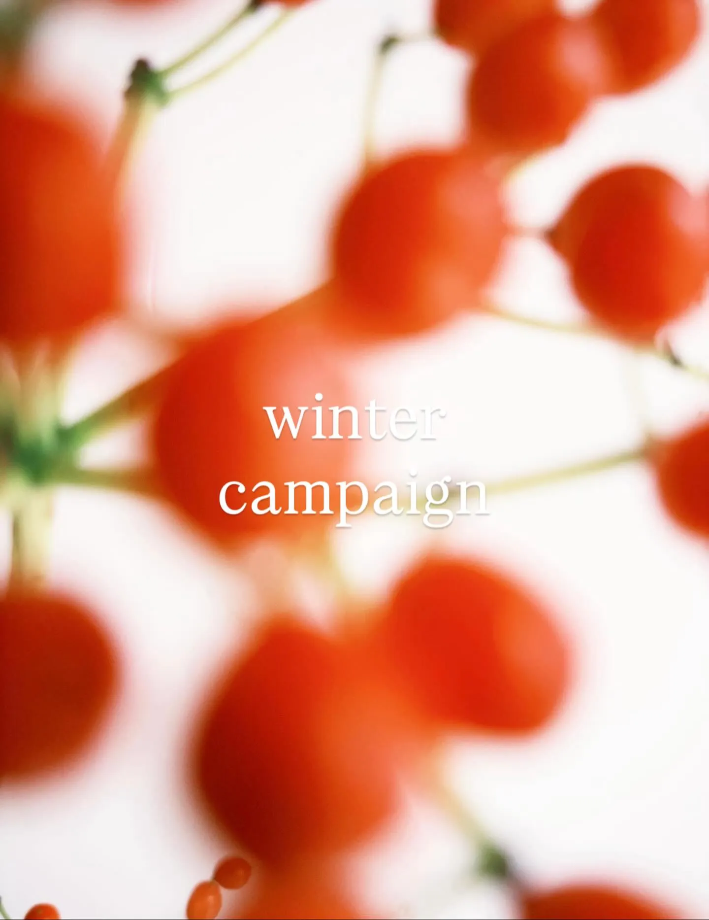 【年末限定ご予約制キャンペーンのお知らせ】