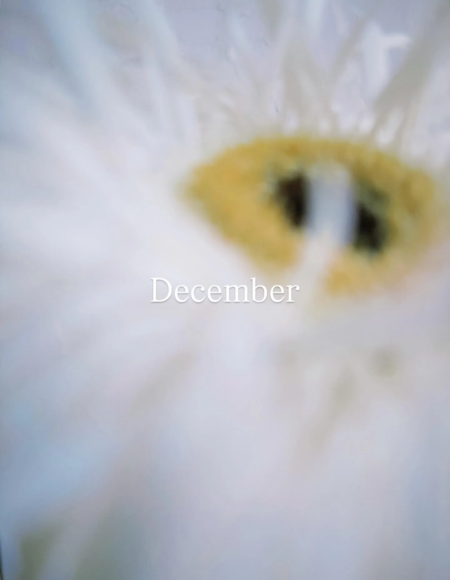 12月のお休みのご案内です!